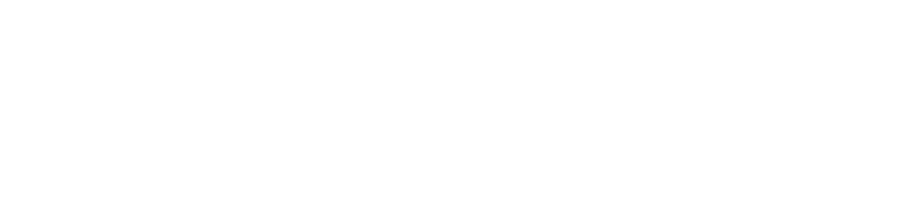 Bio de Bloom – Website (1)